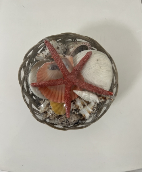 AKVARYUM DENİZ KABUĞU 3 NO